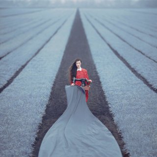 过去的一年 Flickr评出年度最受欢迎的25张照片