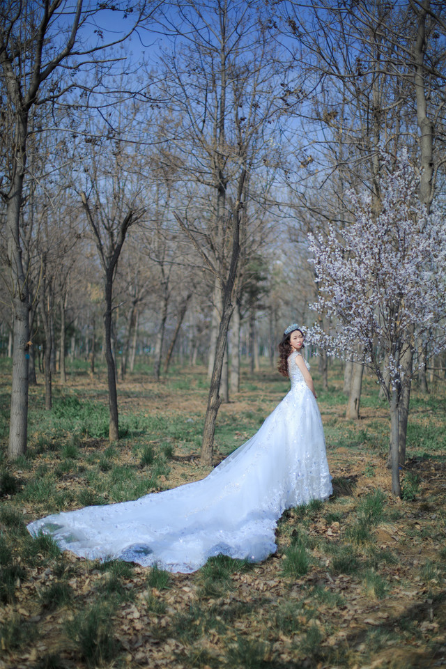 唯美写实婚纱摄影_一袭白纱一路春光