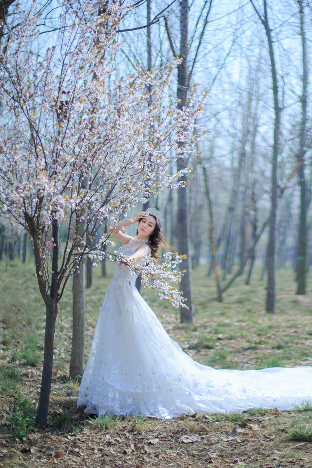 唯美写实婚纱摄影_一袭白纱一路春光