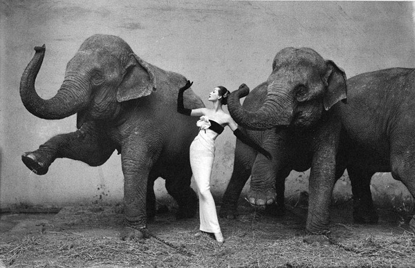 Richard Avedon摄影作品