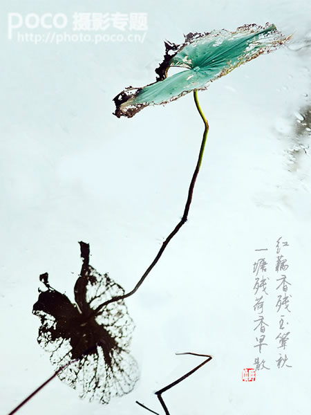 秋季教你拍摄倒影照片