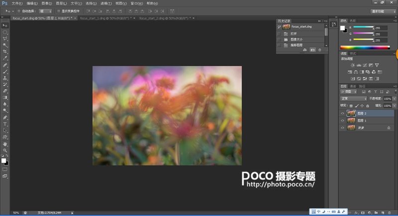 转移焦点拍微距花卉 混合图层制作创意照片