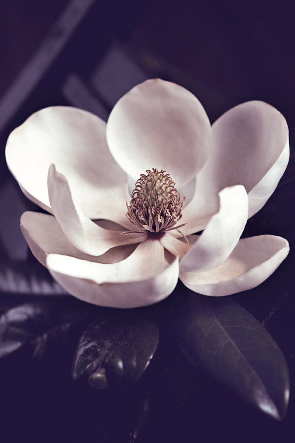 Matthieu Belin摄影作品：上海芭蕾