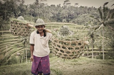 给人像新手玩家的8个建议