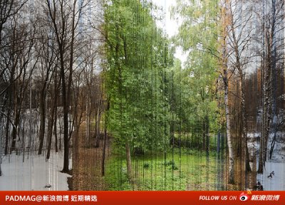新浪微博 近期精选(022712)