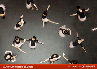新浪微博 近期精选(112111)