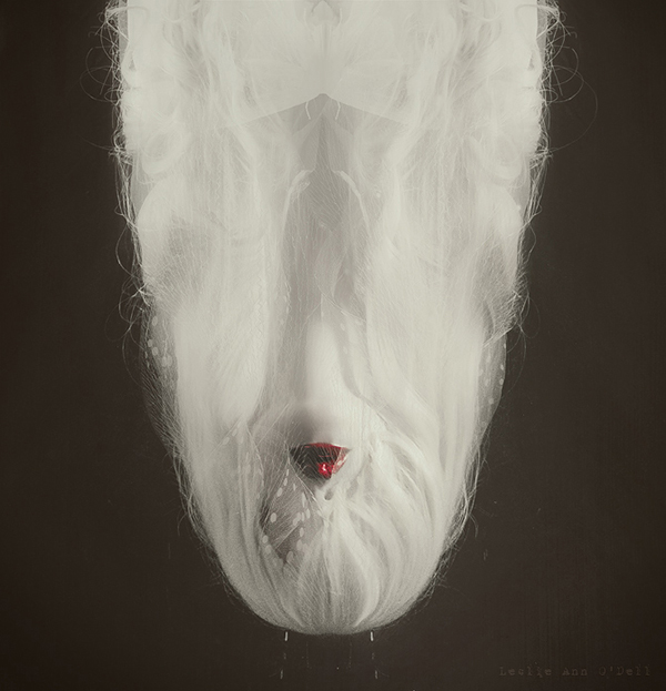 Leslie Ann O'Dell插画：敏锐的死亡触觉