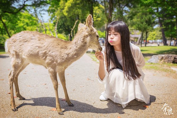 美女与小鹿唯美摄影