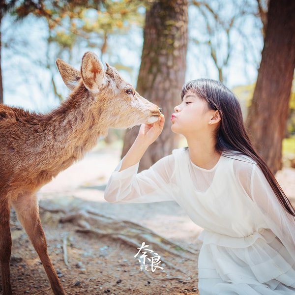 美女与小鹿唯美摄影