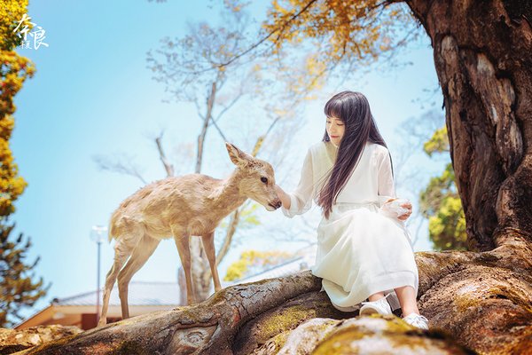 美女与小鹿唯美摄影