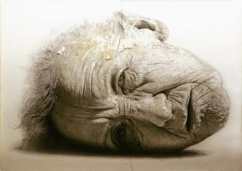 西班牙Golucho油画作品欣赏