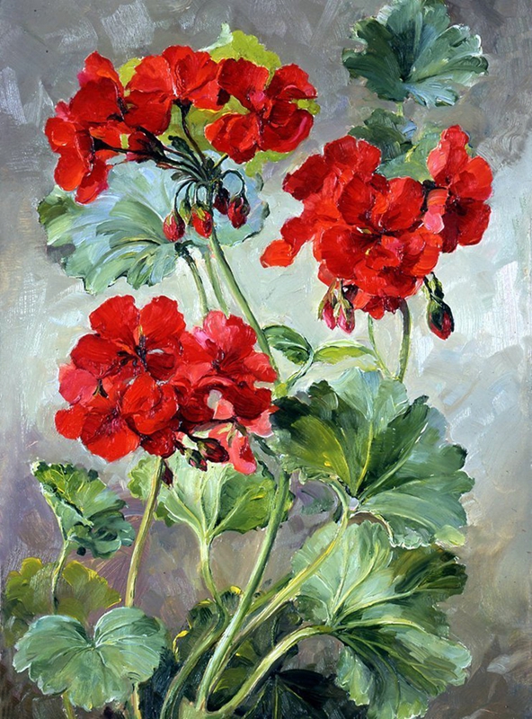 英国画家Anne Cotterill油画花卉