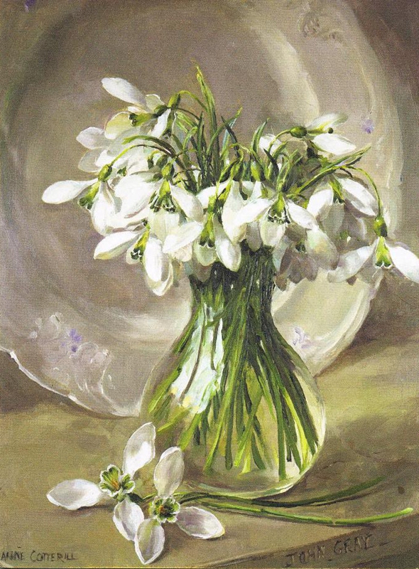英国画家Anne Cotterill油画花卉