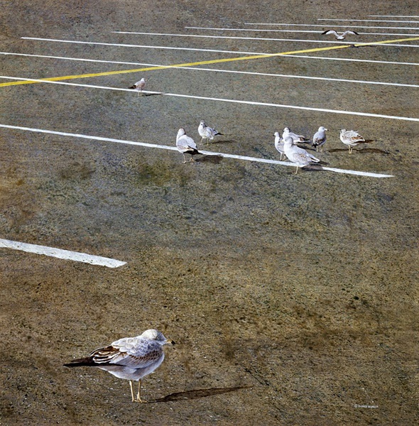 加拿大Richard Bélanger绘画作品