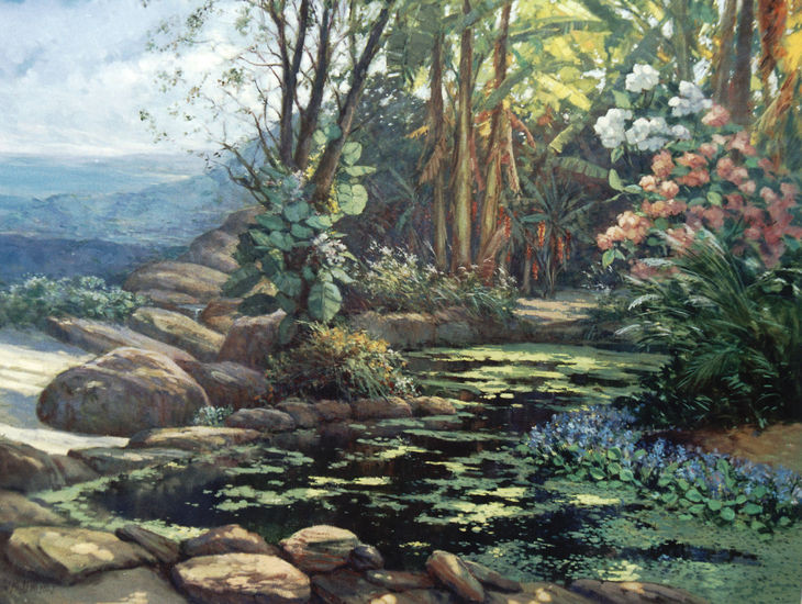 巴西画家Washington Maguetas油画风景作品