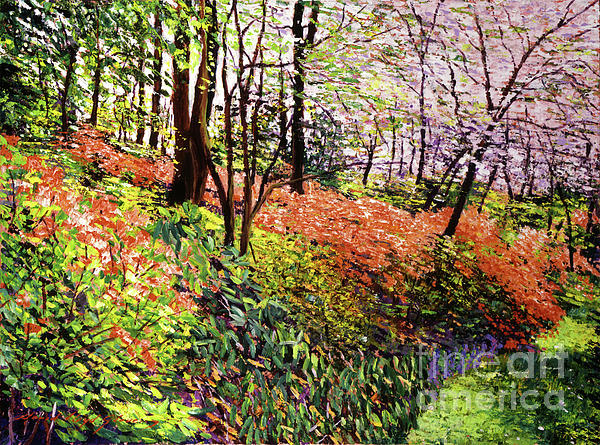 David Lloyd Glover油画风景