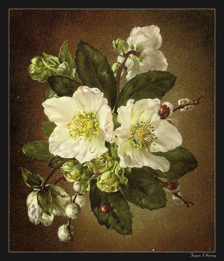 法国塞西尔·肯尼迪（Cecil Kennedy）油画花卉作品