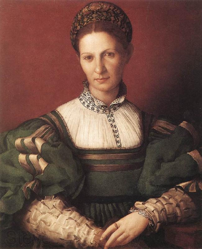意大利画家阿尼奥洛·布伦齐诺（Agnolo Bronzino）油画人物