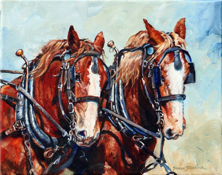 美国Sharon Standridge西牧风情油画作品欣赏
