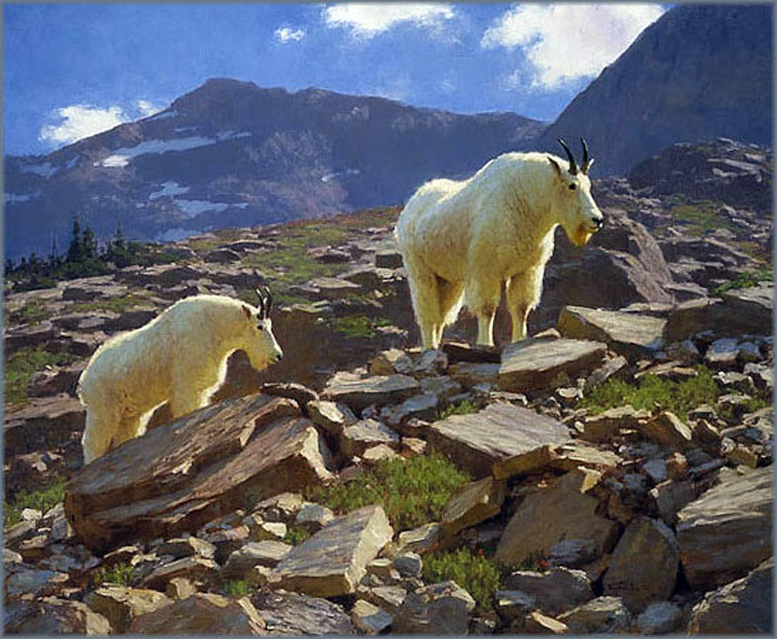 美国Tucker Smith风景油画作品欣赏