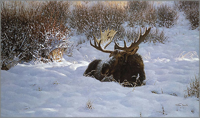 美国Tucker Smith风景油画作品欣赏