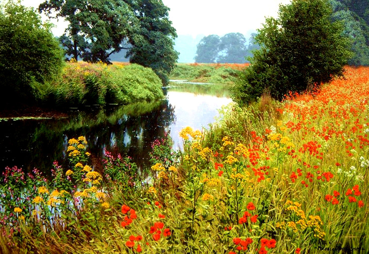 英国Michael James Smith风景油画作品欣赏