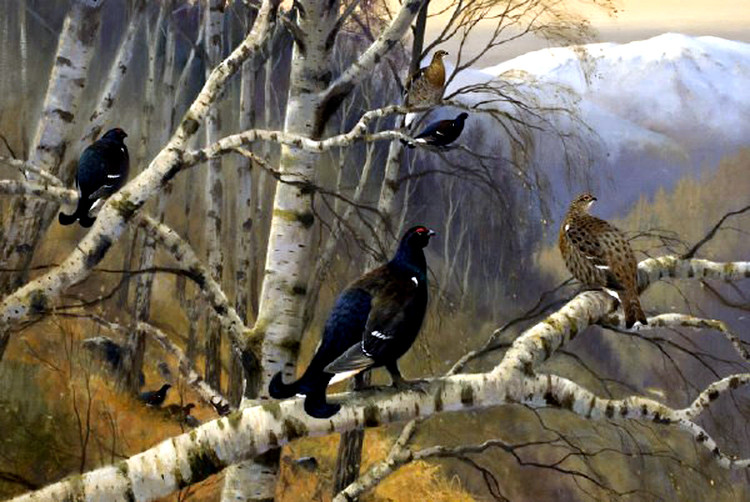 英国Colin W Burns风景油画作品欣赏