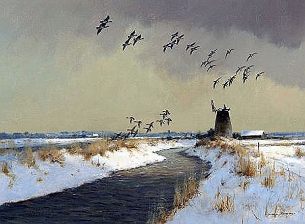 英国Colin W Burns风景油画作品欣赏
