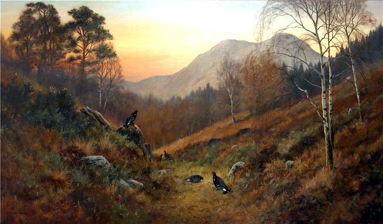 英国Colin W Burns风景油画作品欣赏