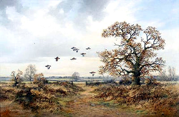 英国Colin W Burns风景油画作品欣赏