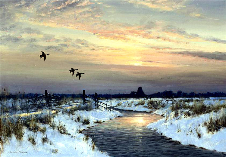 英国Colin W Burns风景油画作品欣赏