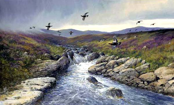 英国Colin W Burns风景油画作品欣赏