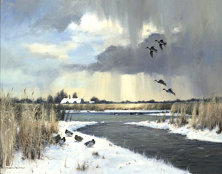 英国Colin W Burns风景油画作品欣赏