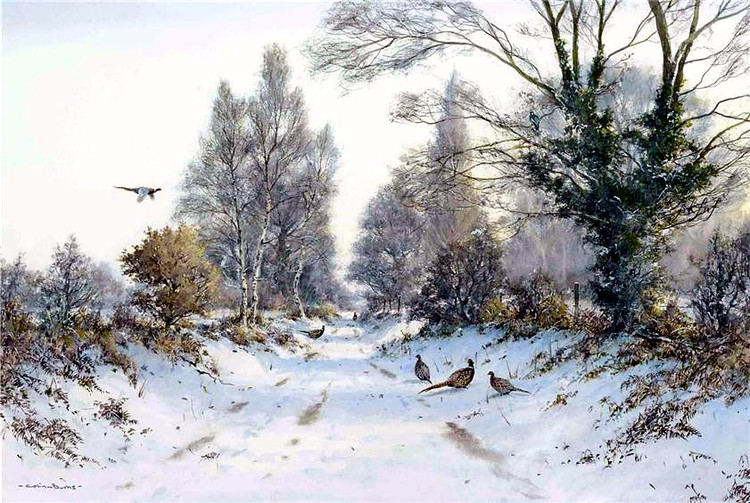 英国Colin W Burns风景油画作品欣赏