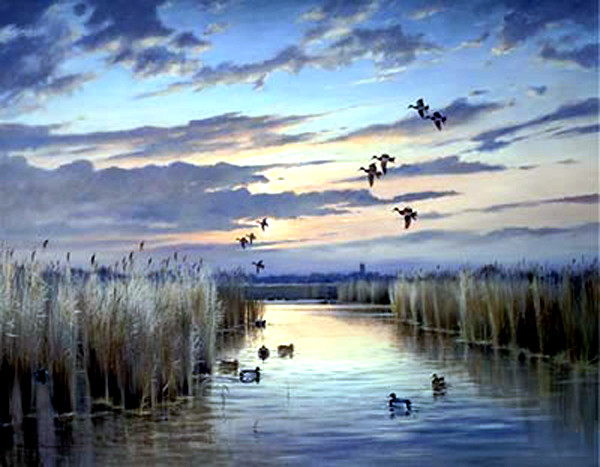 英国Colin W Burns风景油画作品欣赏