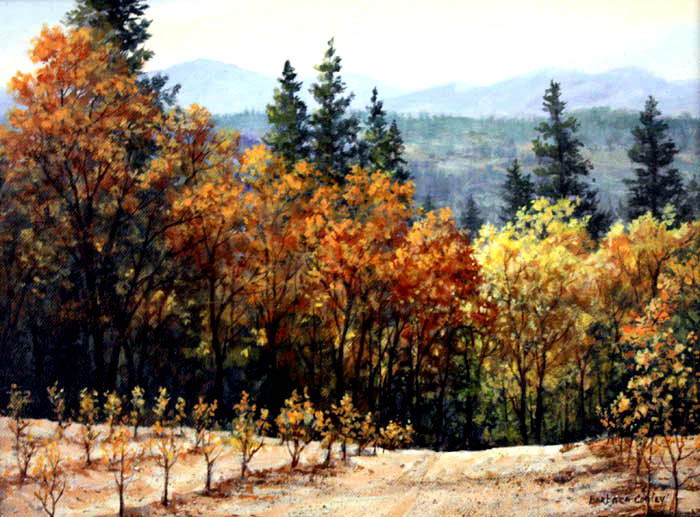 美国Barbara Conley风景油画作品欣赏