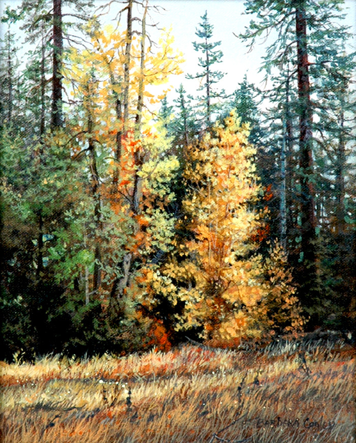 美国Barbara Conley风景油画作品欣赏