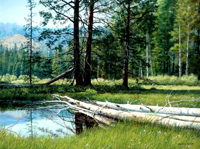 美国Barbara Conley风景油画作品欣赏