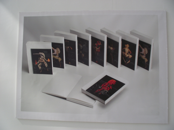 中国设计大展平面设计类入选作品欣赏（五）