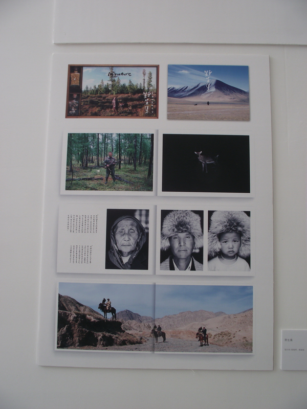 中国设计大展平面设计类入选作品欣赏（五）