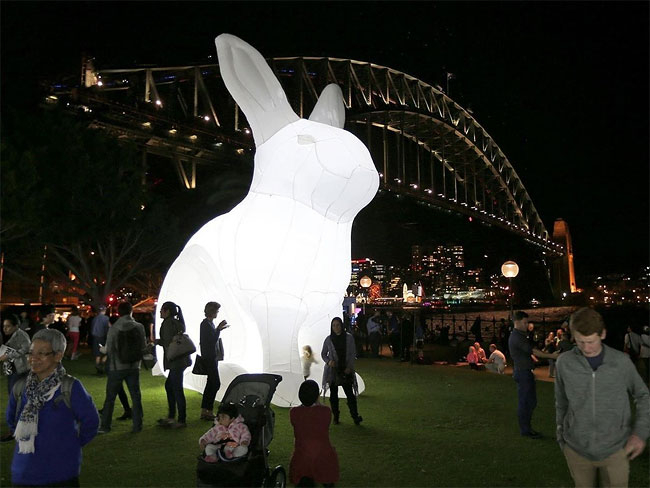 2024悉尼艺术节Vivid Sydney视觉设计