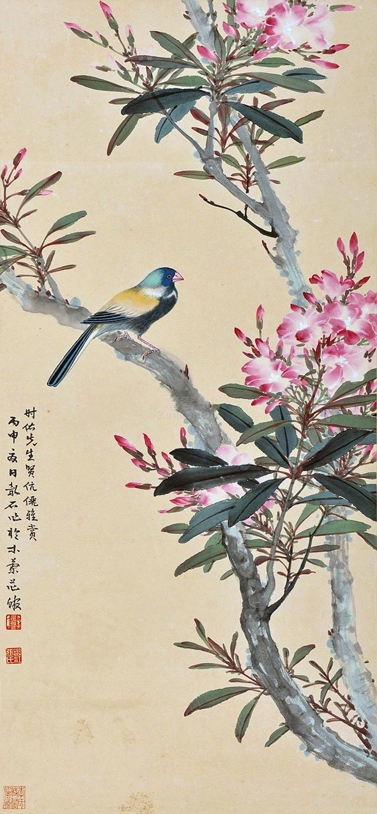 张韶石国画花鸟作品