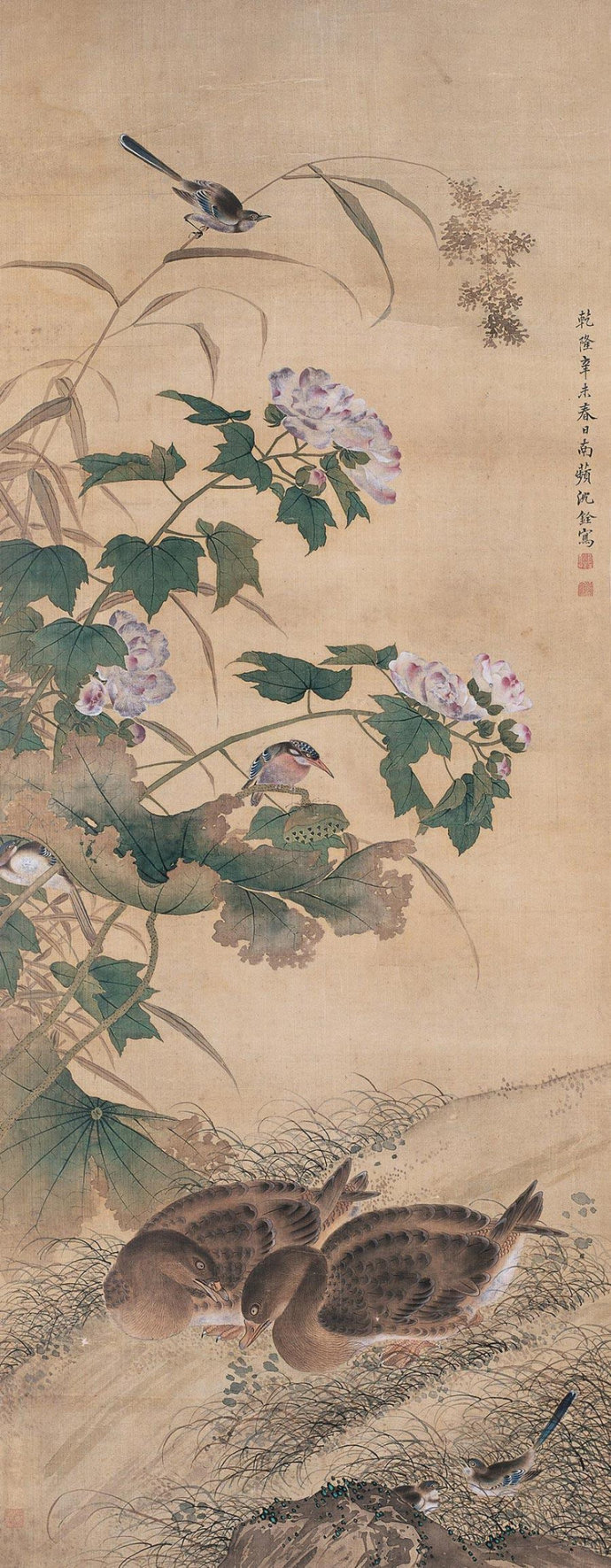 沈铨国画花鸟作品