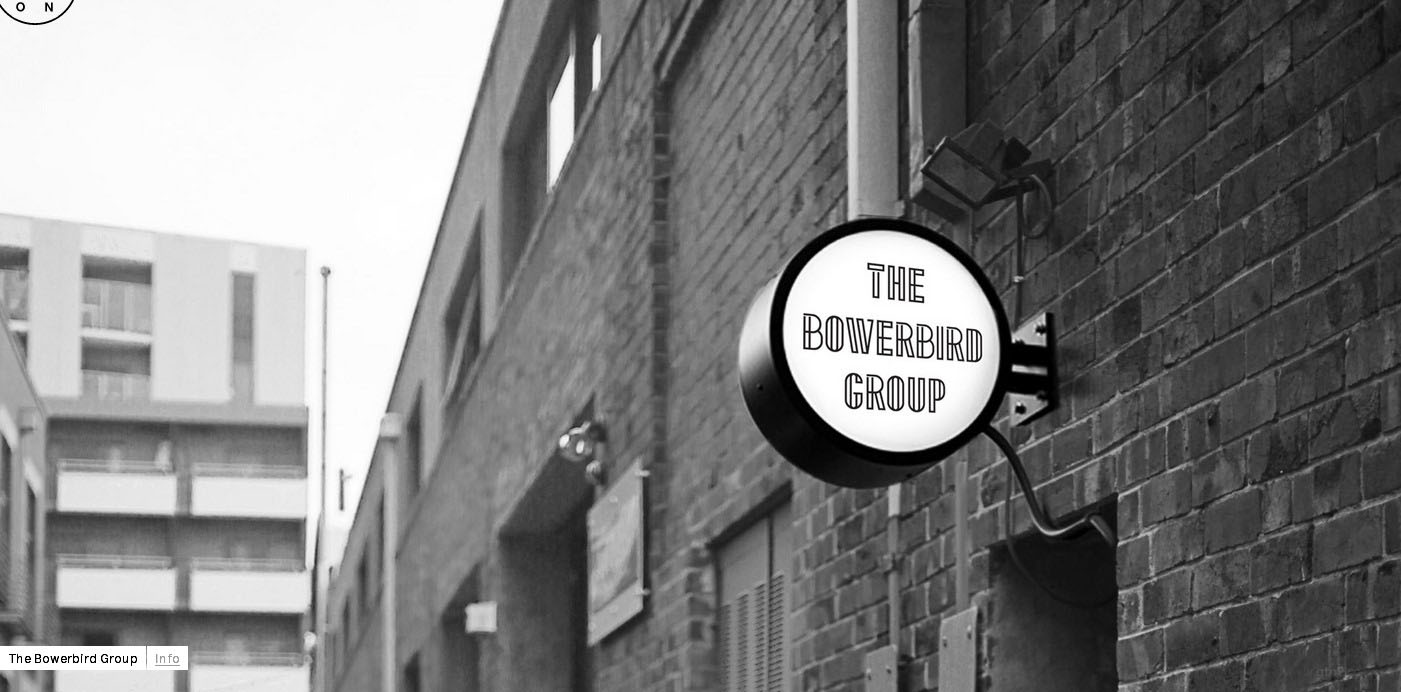The Bowerbird集团品牌形象设计