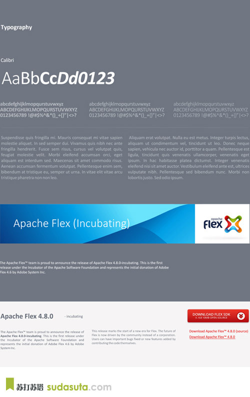 APACHE FLEX 新视觉VI标志设计作品