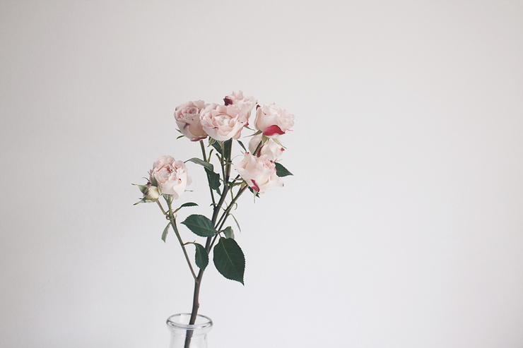 FLORALPUNK 珠宝首饰品牌设计