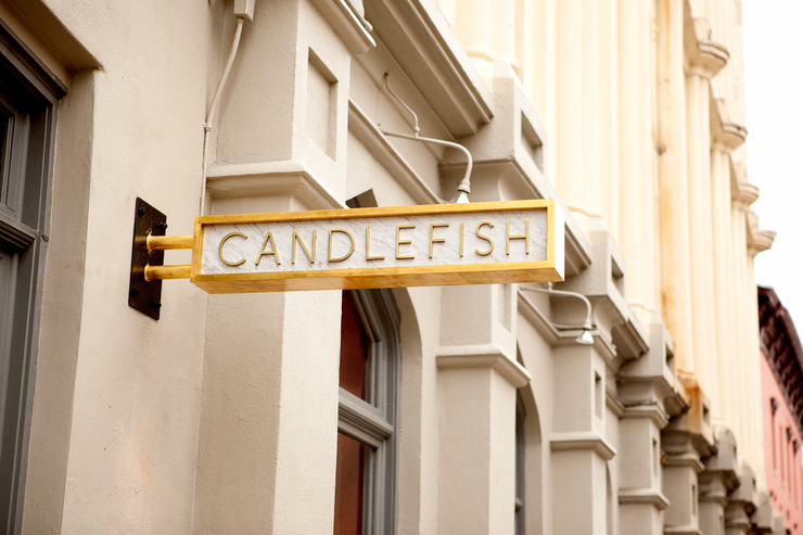 Candlefish蜡烛鱼品牌VI设计