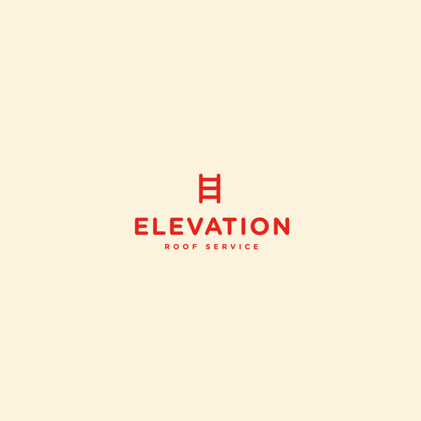 Brandon Nickerson英文logo设计作品