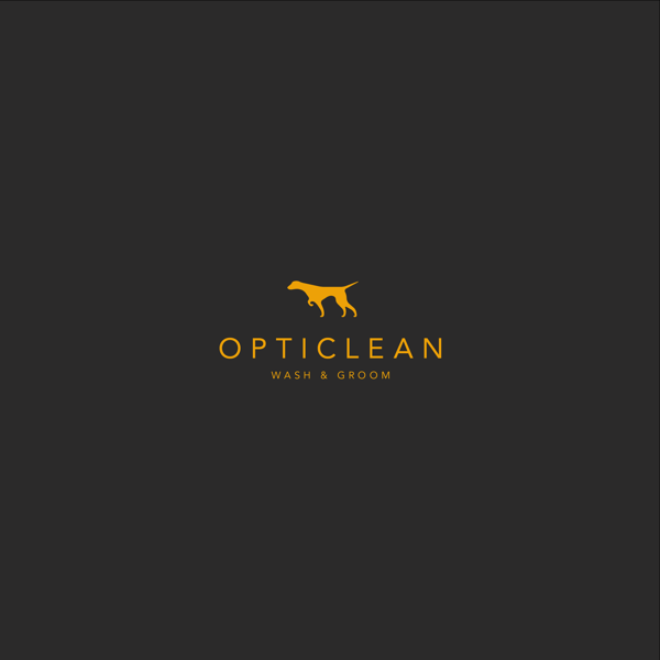 Brandon Nickerson英文logo设计作品