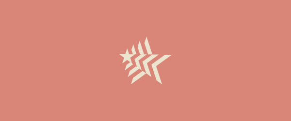 Selim Ekmen英文logo设计作品